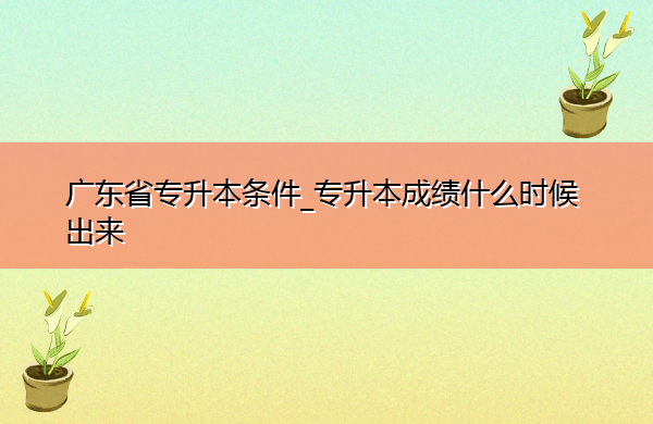 广东省专升本条件_专升本成绩什么时候出来