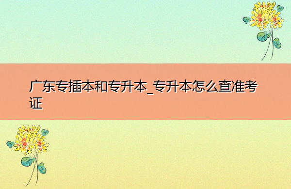 广东专插本和专升本_专升本怎么查准考证 广东专插本和专升本_专升本怎么查准考证