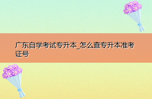 广东自学考试专升本_怎么查专升本准考证号