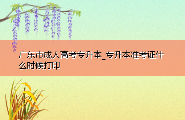 广东省成人高考专升本_专升本准考证什么时候打印 广东省成人高考专升本_专升本准考证什么时候打印