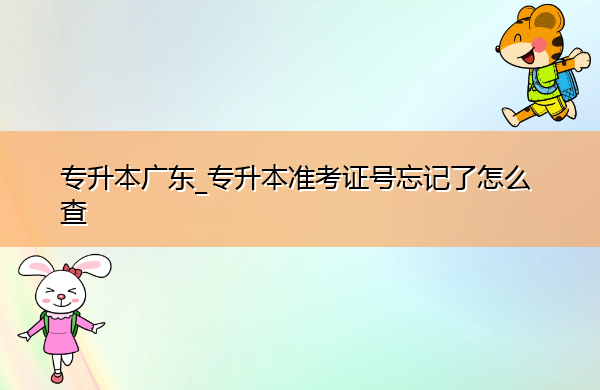 专升本广东_专升本准考证号忘记了怎么查