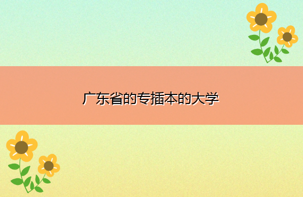 广东省的专插本的大学 广东省的专插本的大学