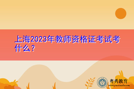 上海2023年教师资格证考试考什么? 上海2023年教师资格证考试考什么?