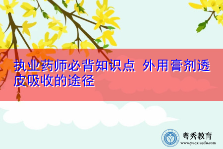 执业药师必背知识点 外用膏剂透皮吸收的途径 执业药师必背知识点 外用膏剂透皮吸收的途径