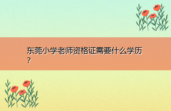 东莞小学老师资格证需要什么学历? 东莞小学老师资格证需要什么学历?