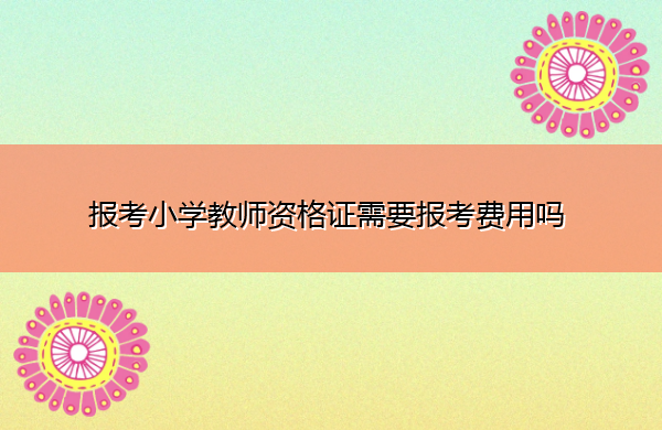 报考小学教师资格证需要报考费用吗