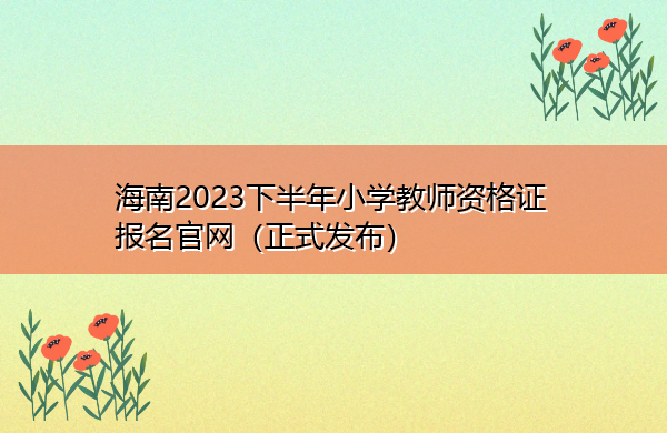 海南2023下半年小学教师资格证报名官网（正式发布）