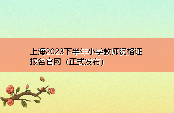 上海2023下半年小学教师资格证报名官网(正式发布) 上海2023下半年小学教师资格证报名官网(正式发布)